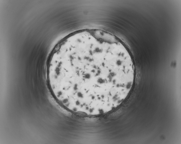 X0000110951080200907311035