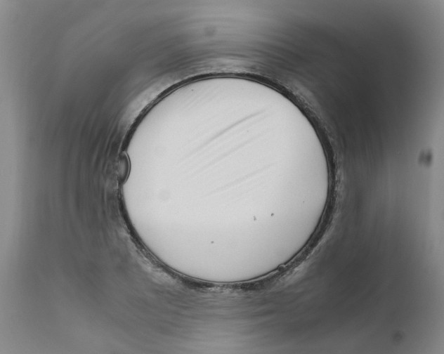 X0000110951081200907311035