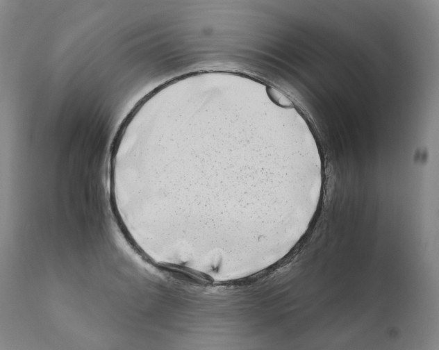 X0000110951084200907311035