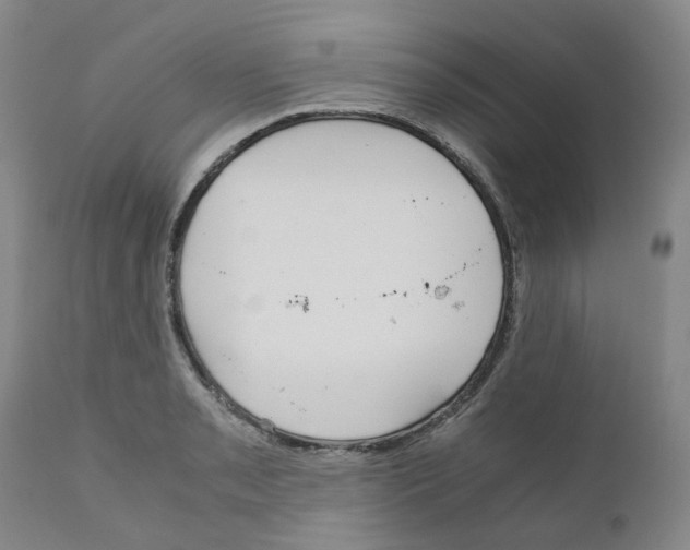 X0000110951085200907311035