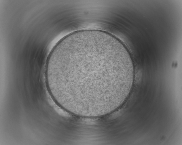 X0000110951086200907311035