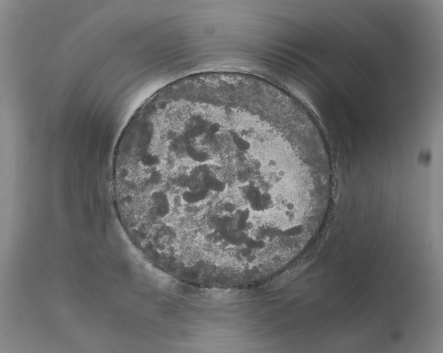 X0000110951087200907311035