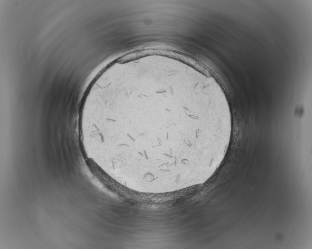 X0000110951092200907311035