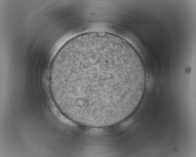 X0000110951094200907311035