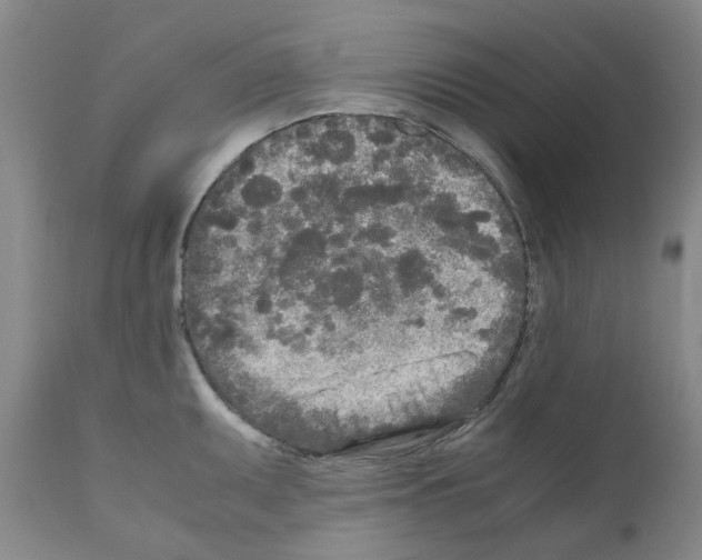 X0000110951095200907311035