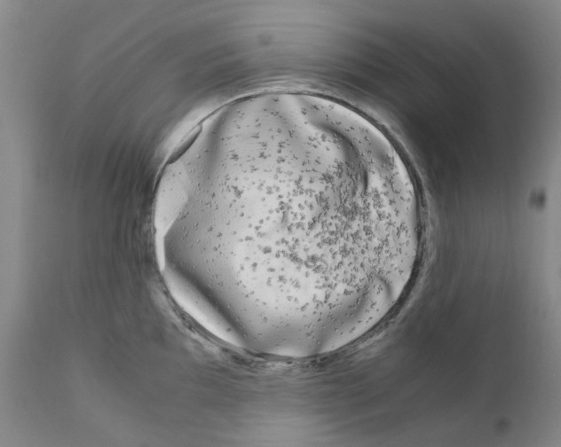 X0000110951097200907311035