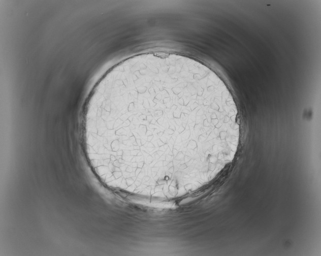X0000110951099200907311035