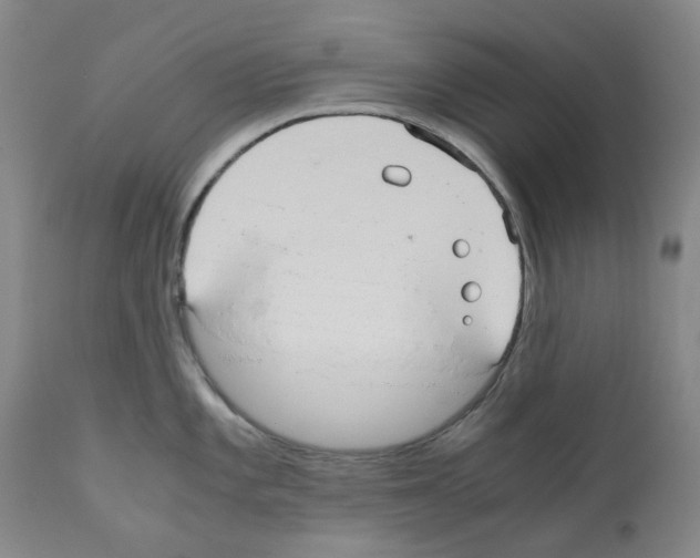 X0000110951101200907311035