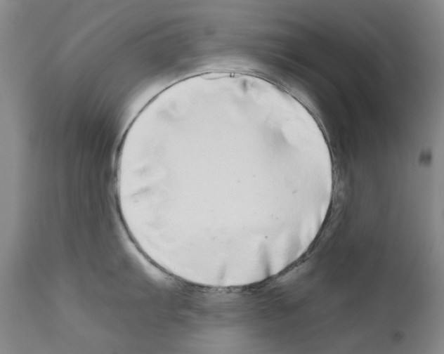 X0000110951103200907311035