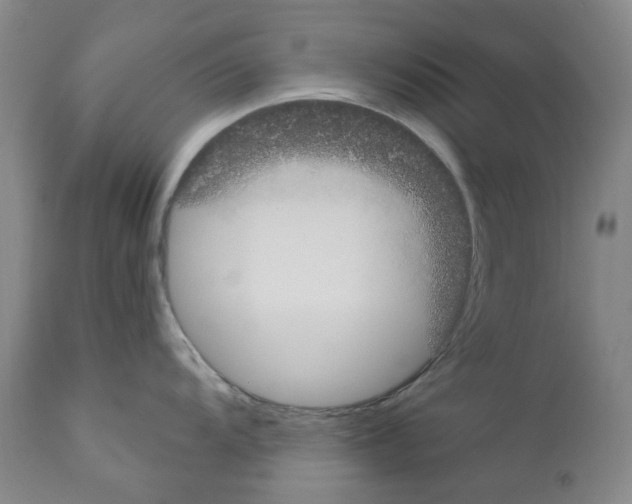 X0000110951104200907311035