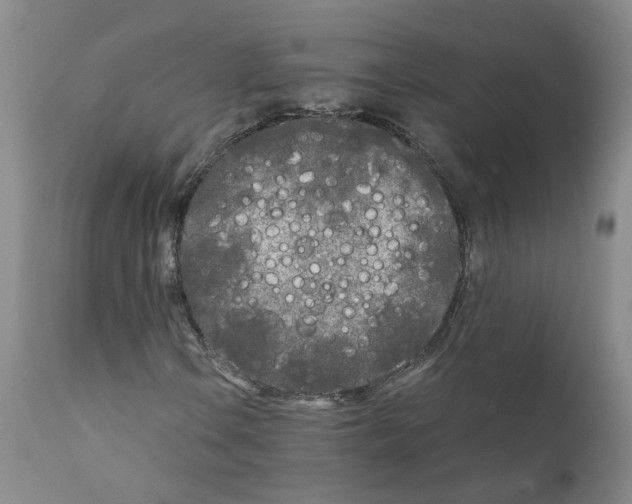 X0000110951106200907311034
