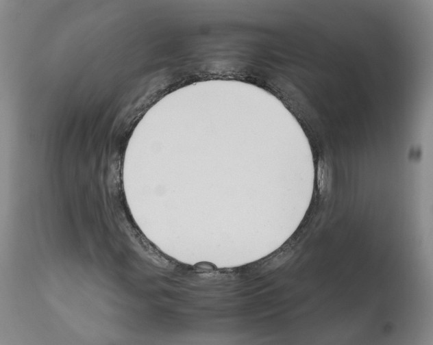X0000110951107200907311034