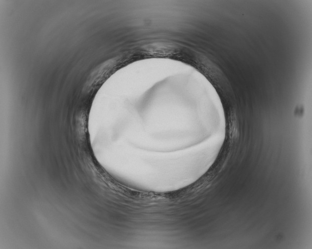 X0000110951108200907311034