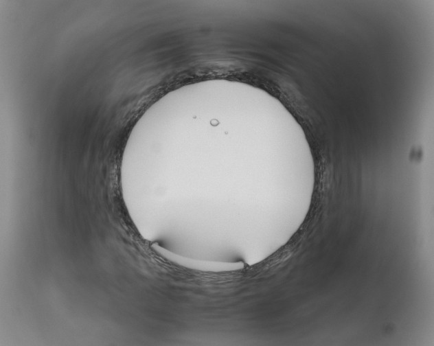 X0000110951109200907311034