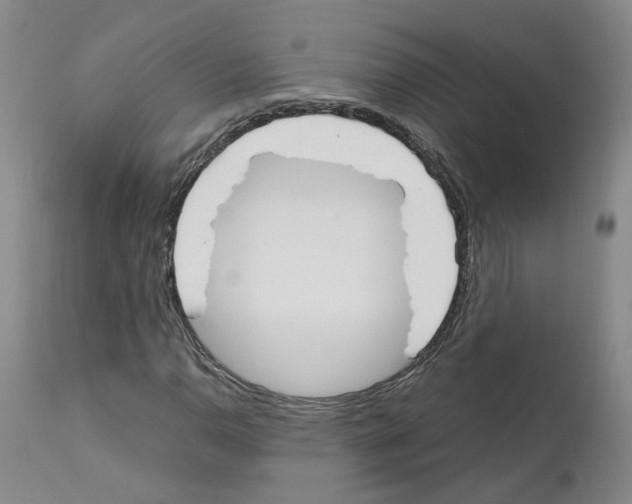 X0000110951110200907311034