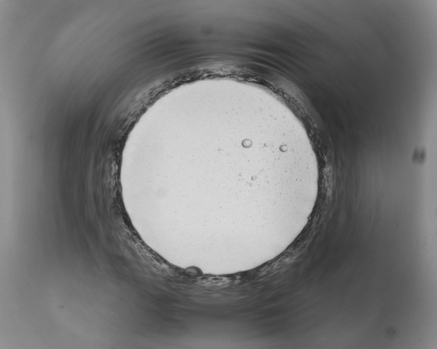 X0000110951111200907311034