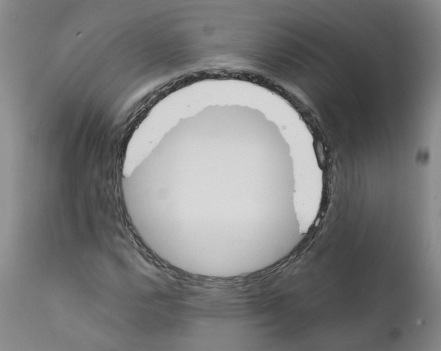 X0000110951112200907311034