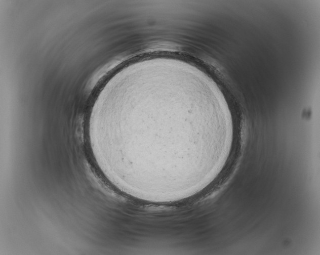 X0000110951113200907311034