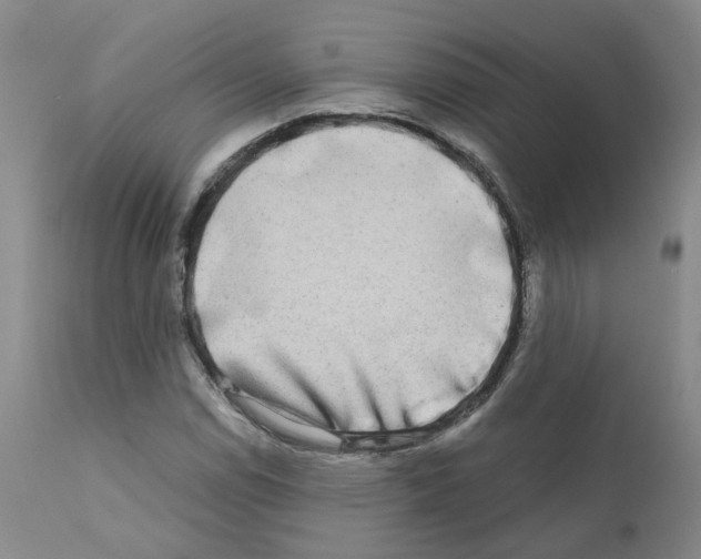 X0000110951114200907311034