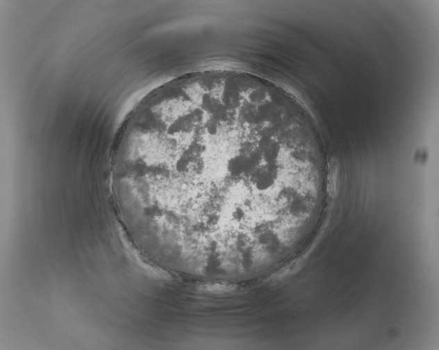 X0000110951117200907311034