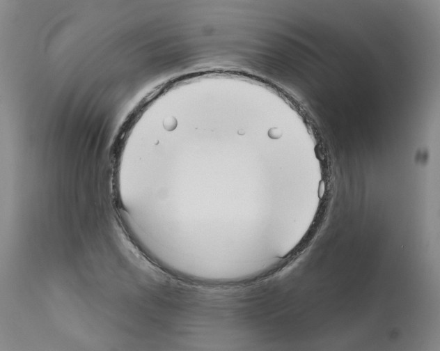 X0000110951118200907311034