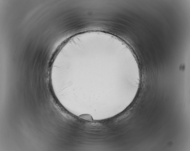 X0000110951119200907311034