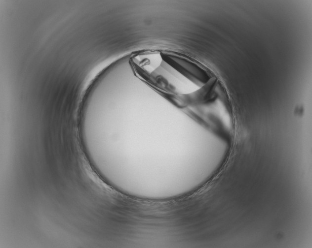 X0000110951120200907311034