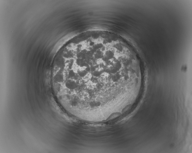 X0000110951121200907311034