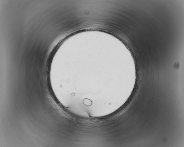 X0000110951122200907311034