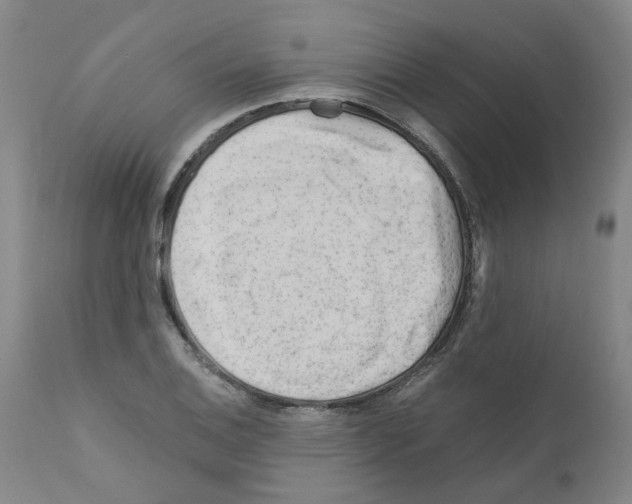 X0000110951124200907311035
