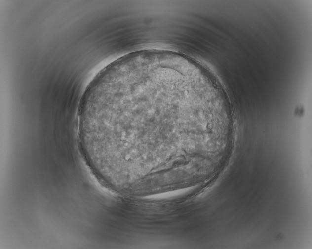 X0000110951125200907311035