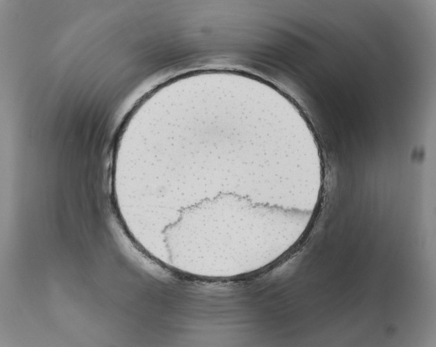 X0000110951126200907311035