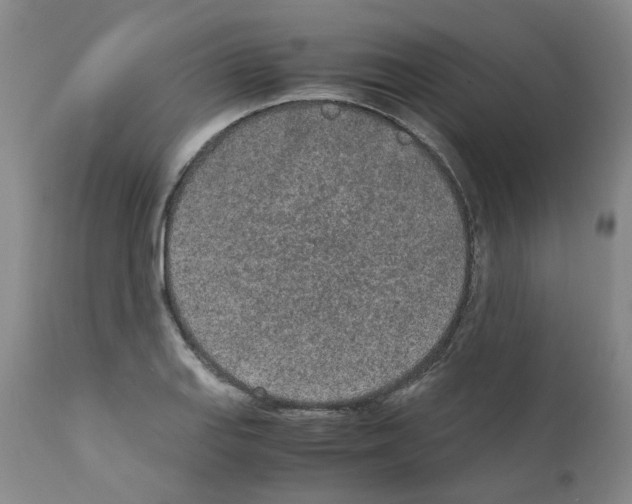 X0000110951127200907311035