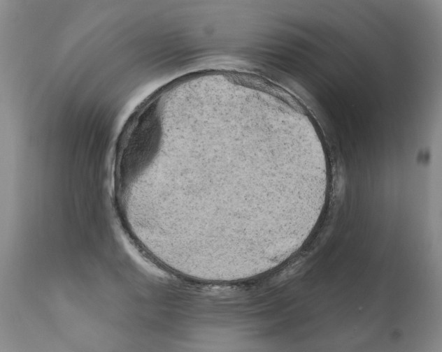 X0000110951128200907311035