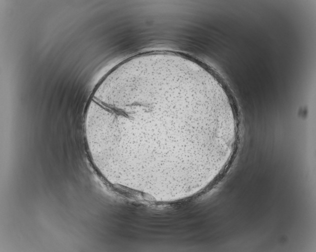 X0000110951129200907311035