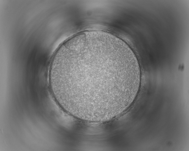 X0000110951130200907311035