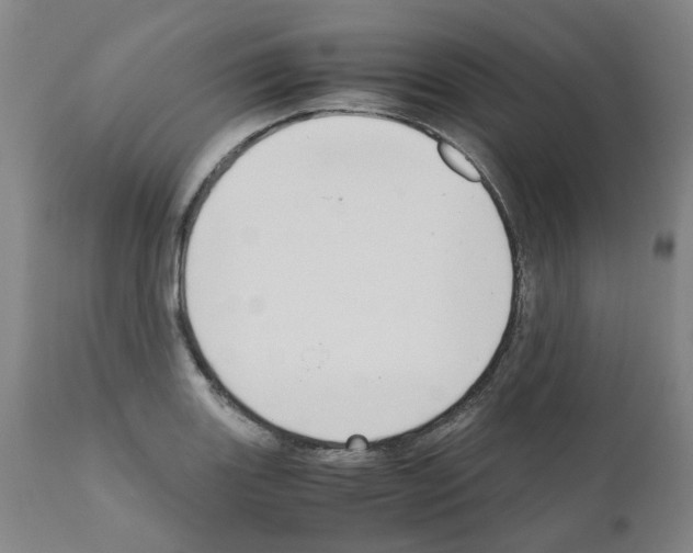 X0000110951131200907311035