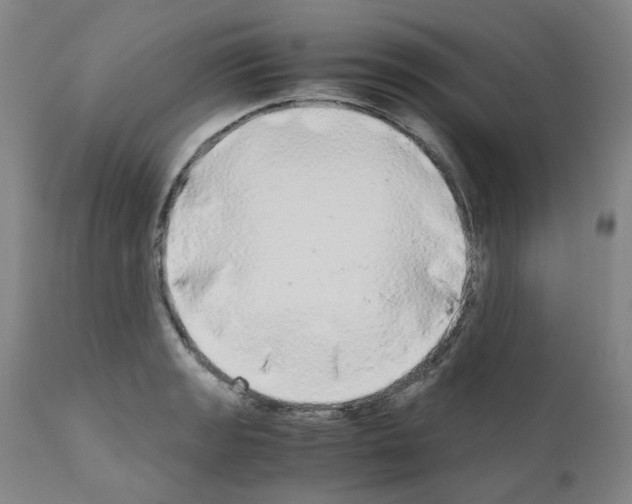 X0000110951133200907311035