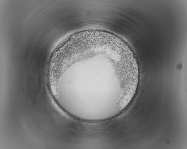 X0000110951134200907311035
