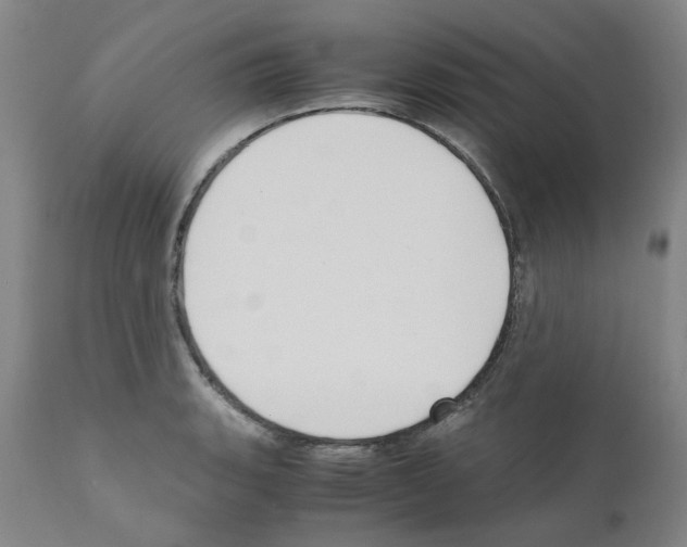 X0000110951135200907311035