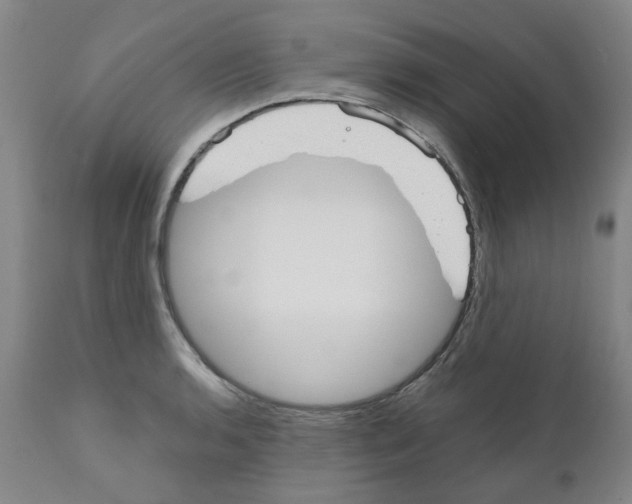 X0000110951136200907311035