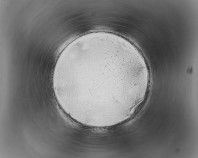 X0000110951137200907311035