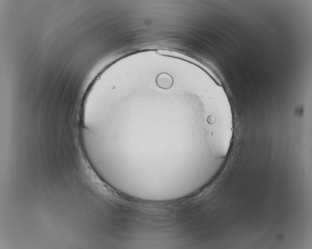 X0000110951138200907311035