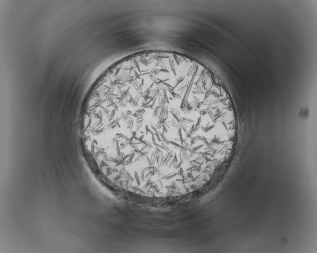 X0000110951141200907311035
