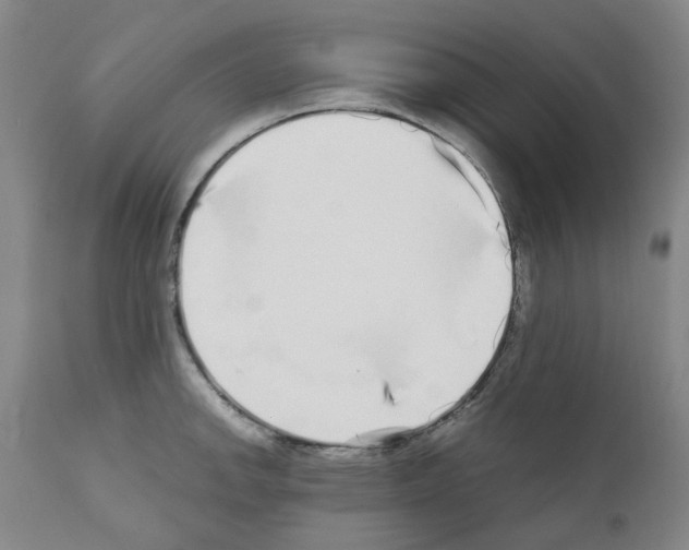 X0000110951142200907311035