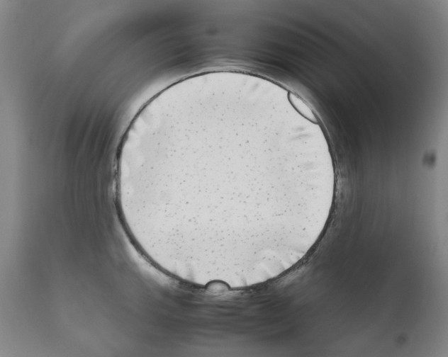 X0000110951143200907311035