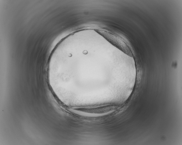 X0000110951146200907311035