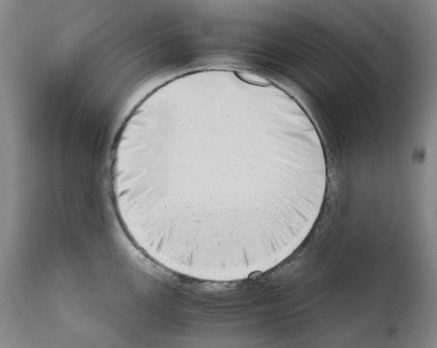 X0000110951147200907311035