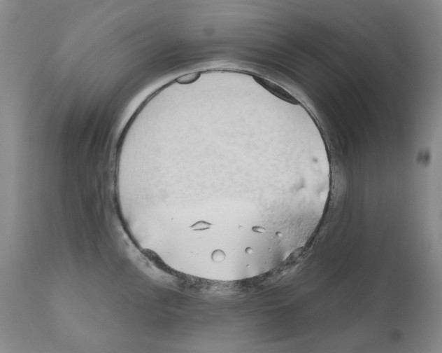 X0000110951148200907311035