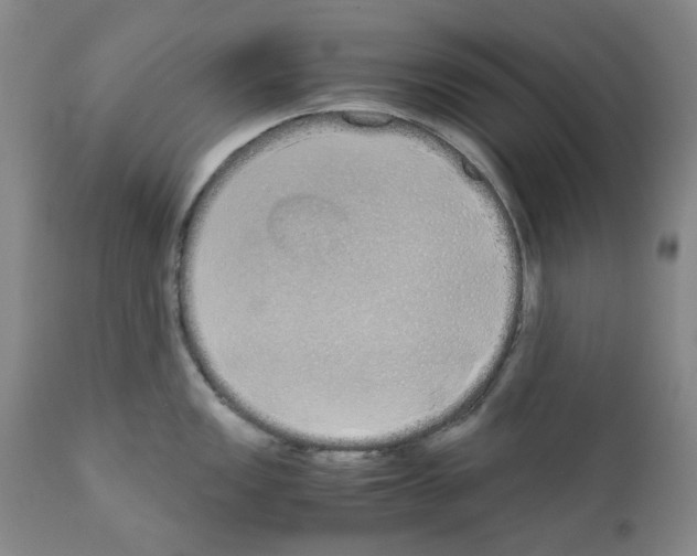 X0000110951149200907311035
